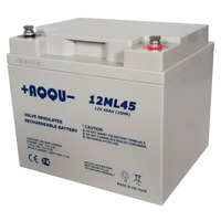 Аккумулятор AQQU 12ML45 Аккумулятор AQQU 12ML45