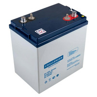 Аккумулятор Challenger EVG6-225 Аккумулятор Challenger EVG6-225