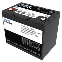 Аккумулятор Challenger 12V 100Ah LFP Аккумулятор Challenger 12V 100Ah LFP