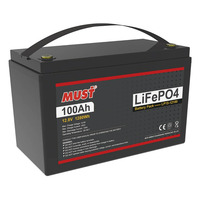 Аккумулятор Must LP15-12100 (12.8V/100Ah) Аккумулятор Must LP15-12100 (12.8V/100Ah)