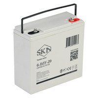 Аккумулятор SKN 6-DZF-20 (12V22.5A/H C5)