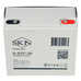 Аккумулятор SKN 6-DZF-20 (12V22.5A/H C5)
