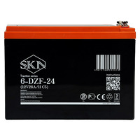 Аккумулятор SKN 6-DZF-24 (12V26A/H C5) Аккумулятор SKN 6-DZF-24 (12V26A/H C5)
