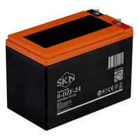 Аккумулятор SKN 6-DZF-24 (12V26A/H C5)
