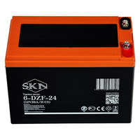 Аккумулятор SKN 6-DZF-24 (12V26A/H C5)
