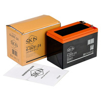 Аккумулятор SKN 6-DZF-24 (12V26A/H C5)