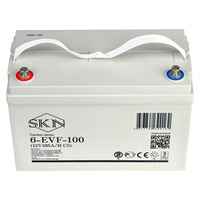 Аккумулятор SKN 6-EVF-100 (12V105A/H C5)