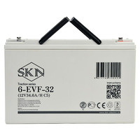 Аккумулятор SKN 6-EVF-32 (12V34.6A/H C5) Аккумулятор SKN 6-EVF-32 (12V34.6A/H C5)