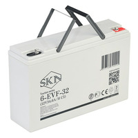 Аккумулятор SKN 6-EVF-32 (12V34.6A/H C5)