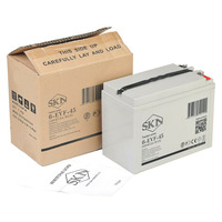 Аккумулятор SKN 6-EVF-45 (12V47.5A/H C5)