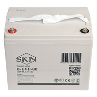 Аккумулятор SKN 6-EVF-80 (12V84A/H C5)