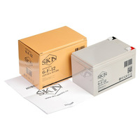 Аккумулятор SKN 6-F-12 (12V12A/H C20)