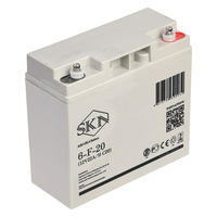 Аккумулятор SKN 6-F-20 (12V20A/H C20)
