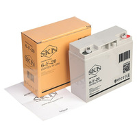 Аккумулятор SKN 6-F-20 (12V20A/H C20)