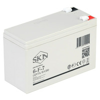 Аккумулятор SKN 6-F-7 (12V7A/H C20)