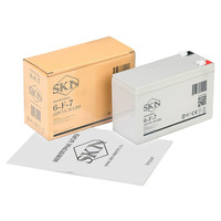 Аккумулятор SKN 6-F-7 (12V7A/H C20)