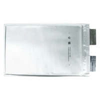 Аккумулятор LFP CALB 3,2V 24Ah Pouch battery