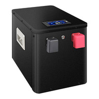 Бокс для установки 12 LFP-ячеек