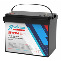 Аккумулятор Vektor Energy LFP 12,8-100 Smart BMS 100A Аккумулятор Vektor Energy LFP 12,8-100 Smart BMS 100A