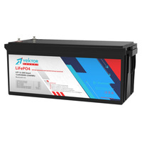 Аккумулятор Vektor Energy LFP 12,8-200 Smart BMS 100A Аккумулятор Vektor Energy LFP 12,8-200 Smart BMS 100A