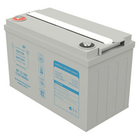 Аккумулятор Vektor Energy XP 12-100 Аккумулятор Vektor Energy XP 12-100