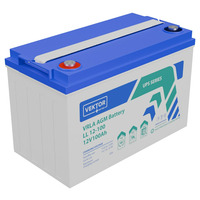 Аккумулятор Vektor Energy LL 12-100 Аккумулятор Vektor Energy LL 12-100