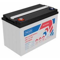 Аккумулятор Vektor Energy VRC 12-100