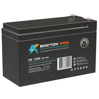 Аккумулятор ВОСТОК СК-1209 Аккумулятор ВОСТОК СК-1209