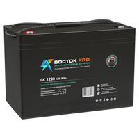 Аккумулятор ВОСТОК СК-1290 Аккумулятор ВОСТОК СК-1290