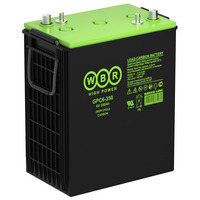 Аккумулятор WBR GPC 6-350 Аккумулятор WBR GPC 6-350