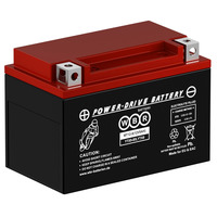 Аккумулятор WBR MT 12-9 Аккумулятор WBR MT 12-9