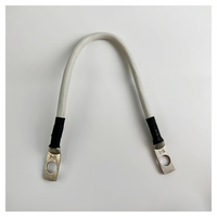 Перемычка аккумуляторная 0,25 м, 10 мм² черный-черный Перемычка аккумуляторная 0,25 м, 10 мм² черный-черный