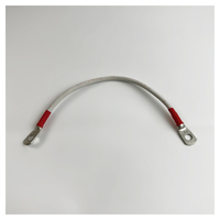 Перемычка аккумуляторная 0,25 м, 10 мм² красный-красный Перемычка аккумуляторная 0,25 м, 10 мм² красный-красный