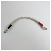 Перемычка аккумуляторная 0,25 м, 16 мм² черный-красный Перемычка аккумуляторная 0,25 м, 16 мм² черный-красный