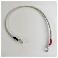 Перемычка аккумуляторная 0,5 м, 10 мм² черный-красный Перемычка аккумуляторная 0,5 м, 10 мм² черный-красный