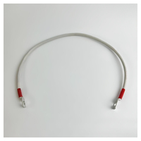 Перемычка аккумуляторная 0,5 м, 10 мм² красный-красный Перемычка аккумуляторная 0,5 м, 10 мм² красный-красный