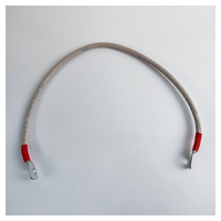 Перемычка аккумуляторная 0,5 м, 16 мм² красный-красный Перемычка аккумуляторная 0,5 м, 16 мм² красный-красный