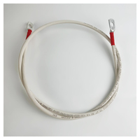 Перемычка аккумуляторная 1 м, 10 мм² красный-красный Перемычка аккумуляторная 1 м, 10 мм² красный-красный