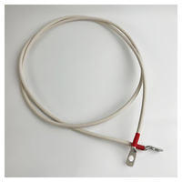 Перемычка аккумуляторная 1,5 м, 10 мм² красный-красный Перемычка аккумуляторная 1,5 м, 10 мм² красный-красный