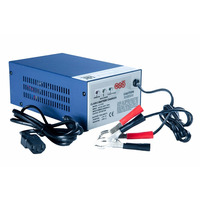 Зарядное устройство WBR LC-2152 Зарядное устройство WBR LC-2152